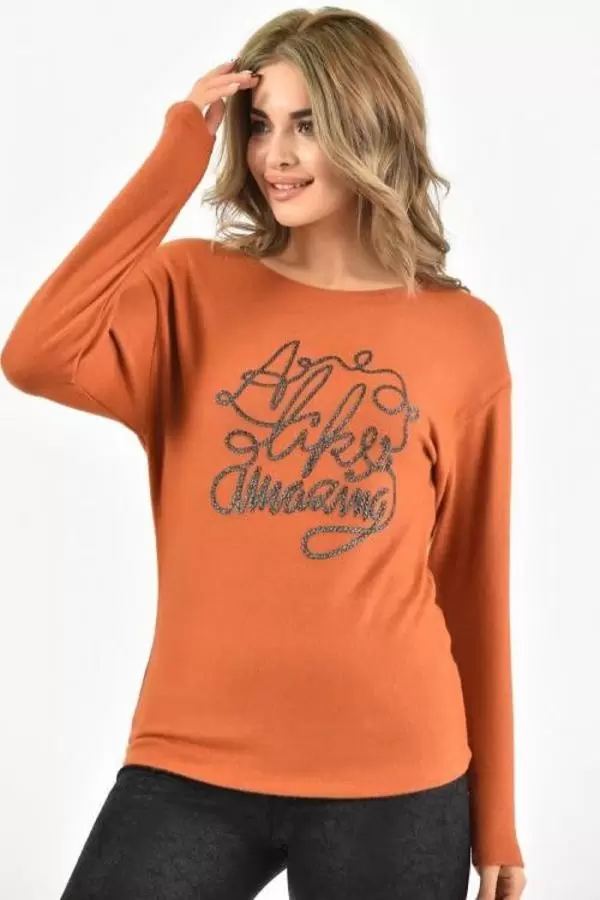 Bisiklet Yaka Nakış Baskılı Örme Kiremit Kadın Bluz